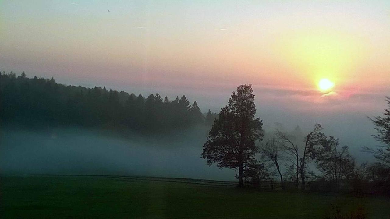 Ferienwohnung Miedl Hauzenberg Bagian luar foto