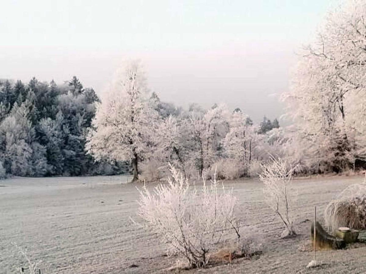 Ferienwohnung Miedl Hauzenberg Bagian luar foto