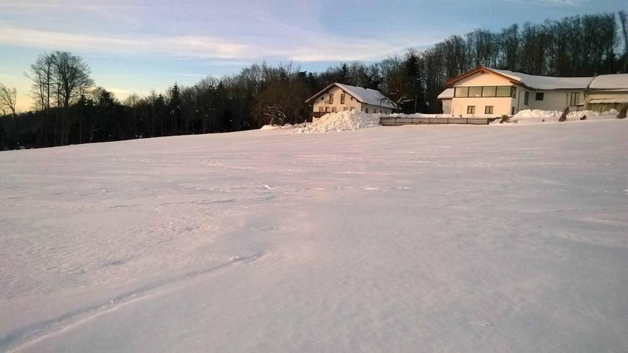 Ferienwohnung Miedl Hauzenberg Bagian luar foto